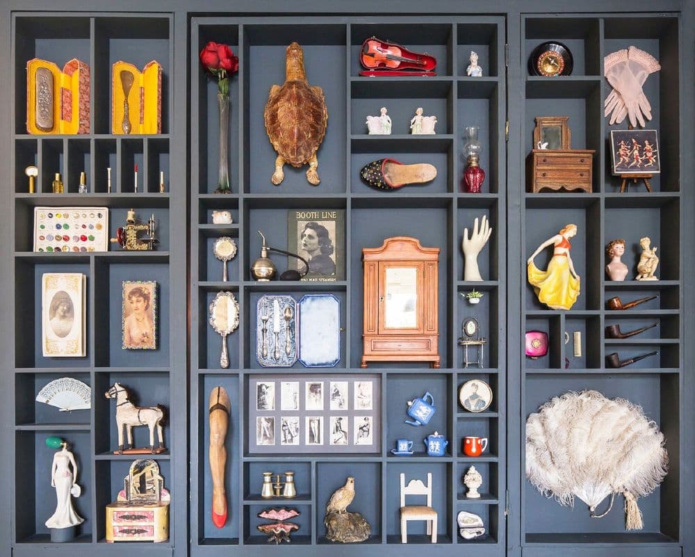  Cabinet of Curiosities.jpeg